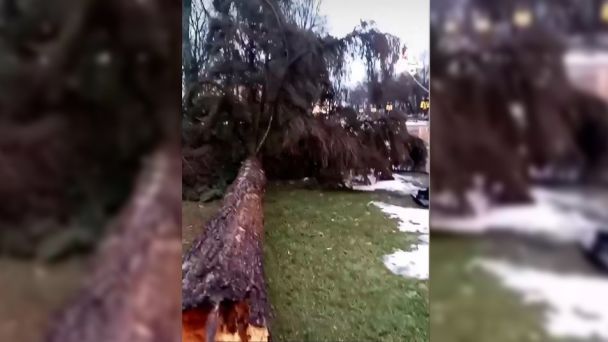 © Фото из социальных сетей