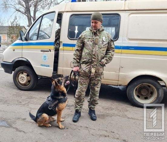 Поліція знайшла псевдомінувальника школи в Кривому Розі dqxikeidqxidqrant