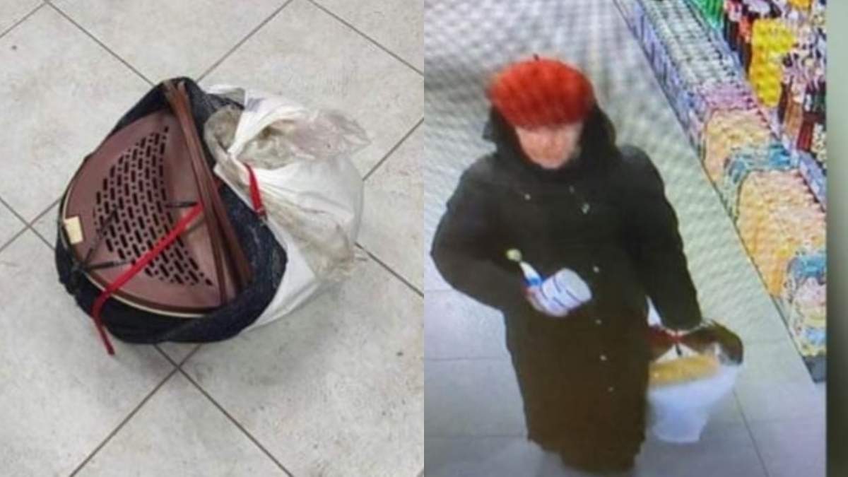 Ƴ,     ,     dqxikeidqxirzant