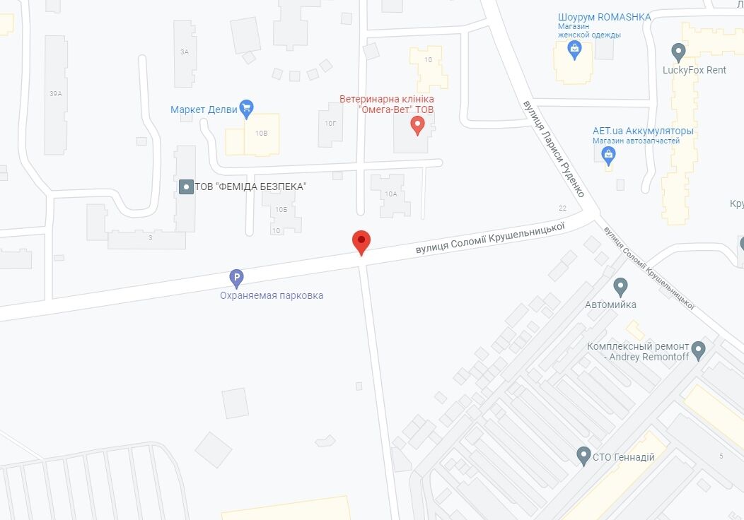 Инцидент произошел в Дарницком районе. dqxikeidqxidqrant