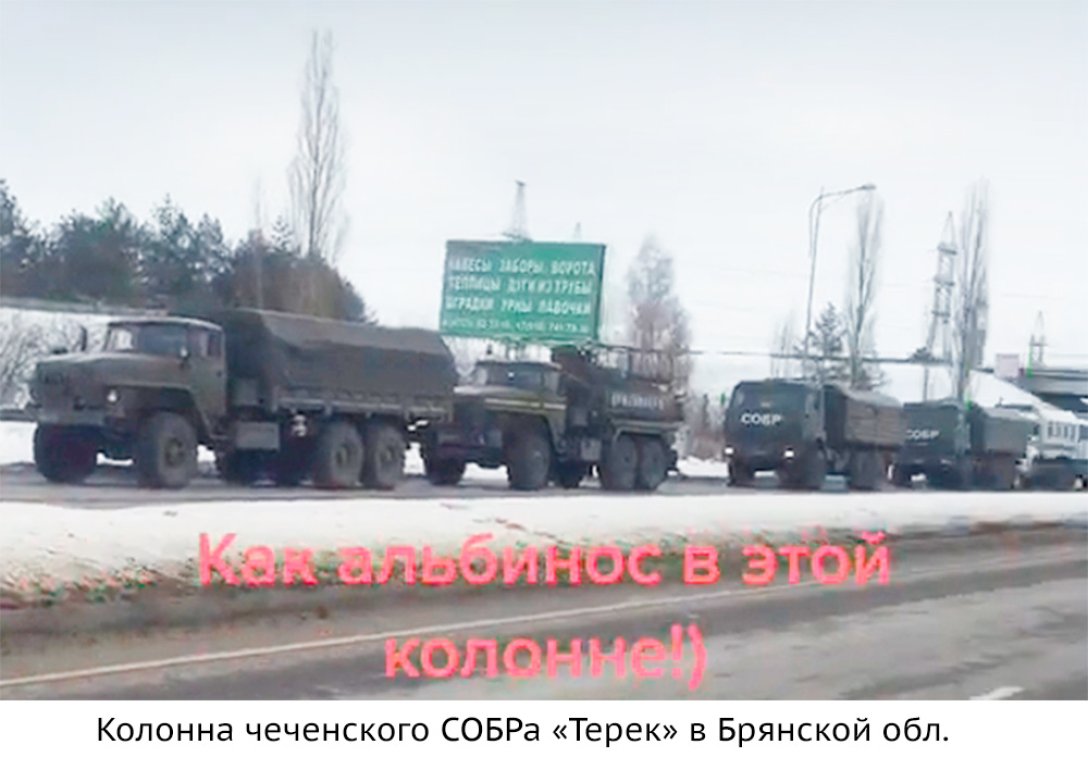 чеченцы в украину