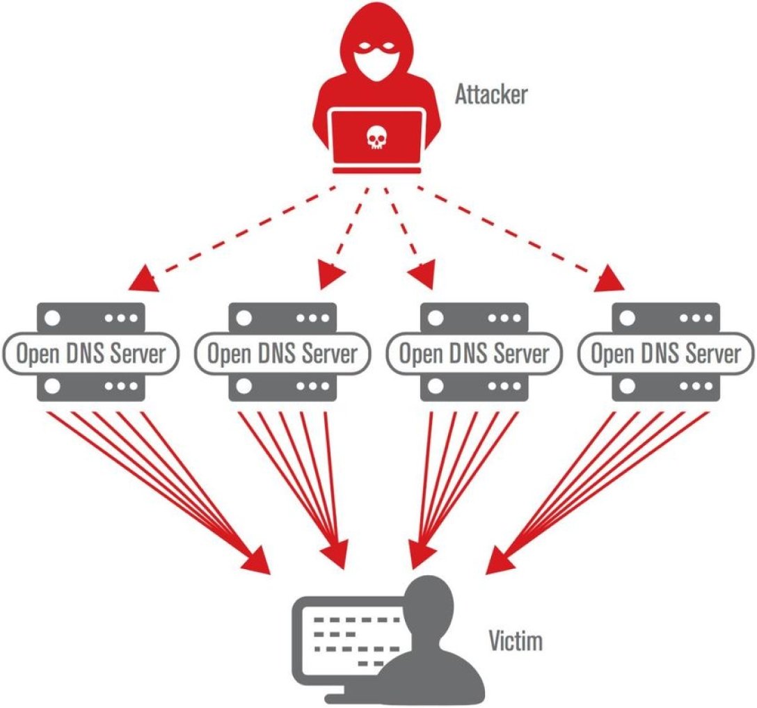 DDoS-, DDoS, - dqxikeidqxidqrant