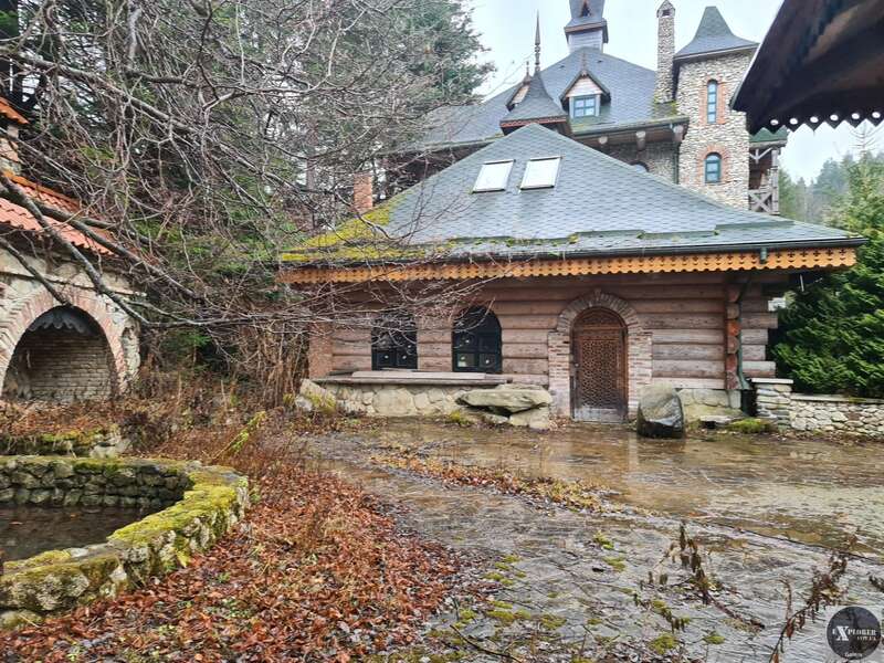 В Карпатах нашли заброшенную дачу Ющенко: как она выглядит сейчас (фото) dqxikeidqxidqeant