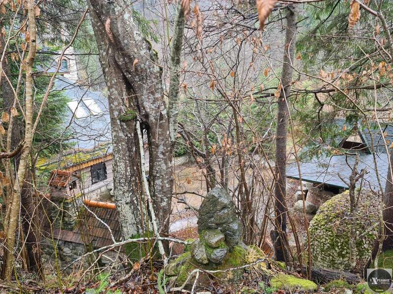 В Карпатах нашли заброшенную дачу Ющенко: как она выглядит сейчас (фото)