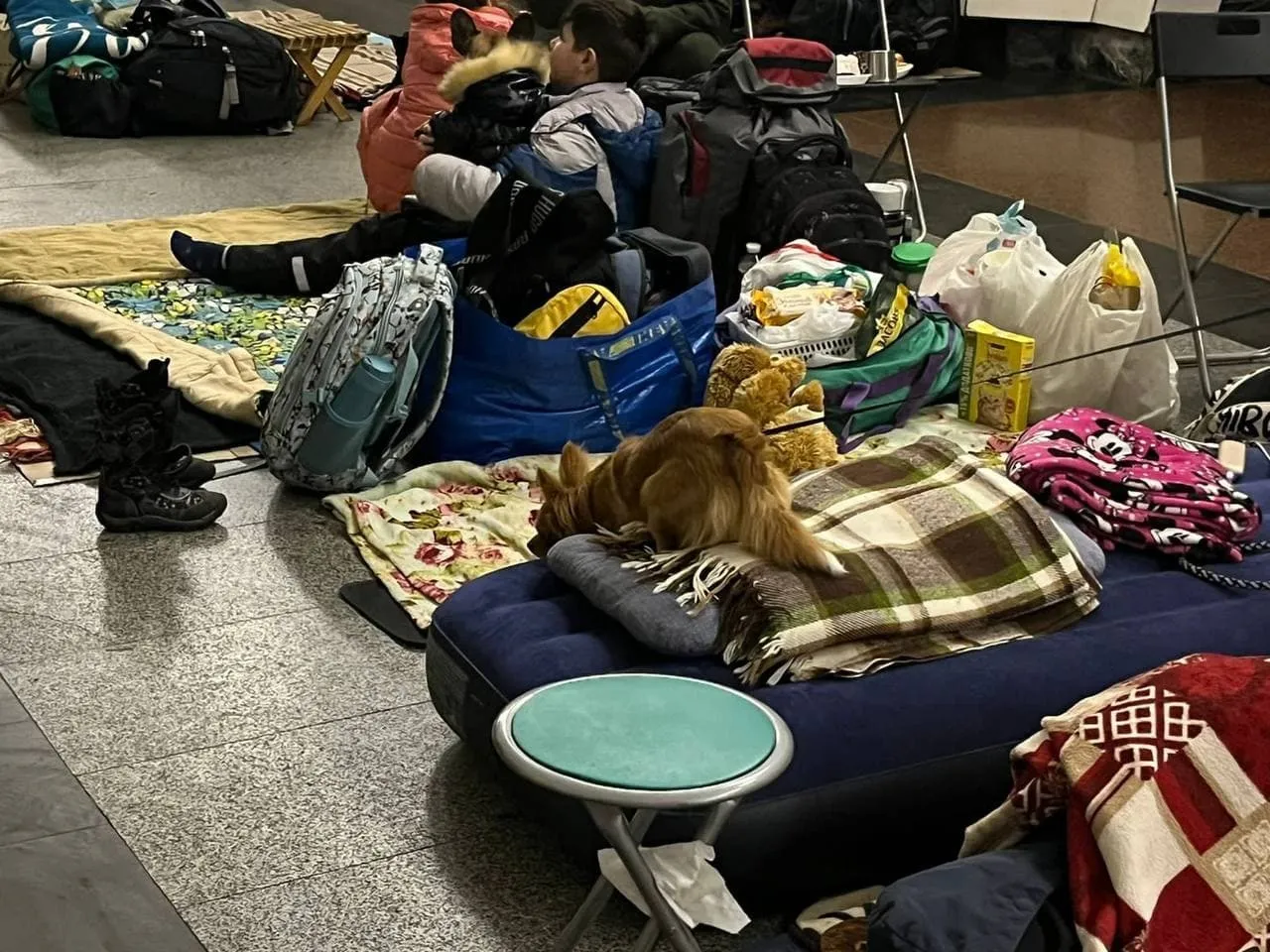 Домашние любимцы киевлян в метрополитене.