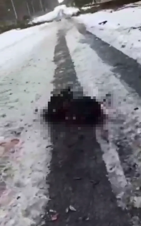 Ликвидированные оккупанты.