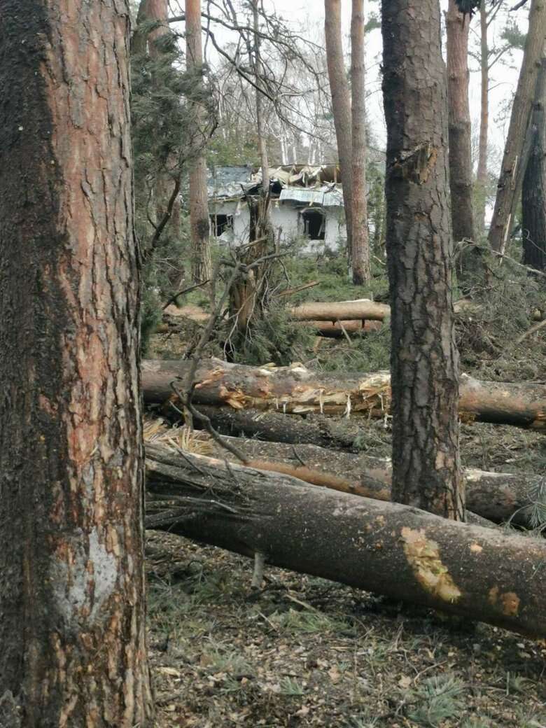   :  22 ,  3    ’ 15