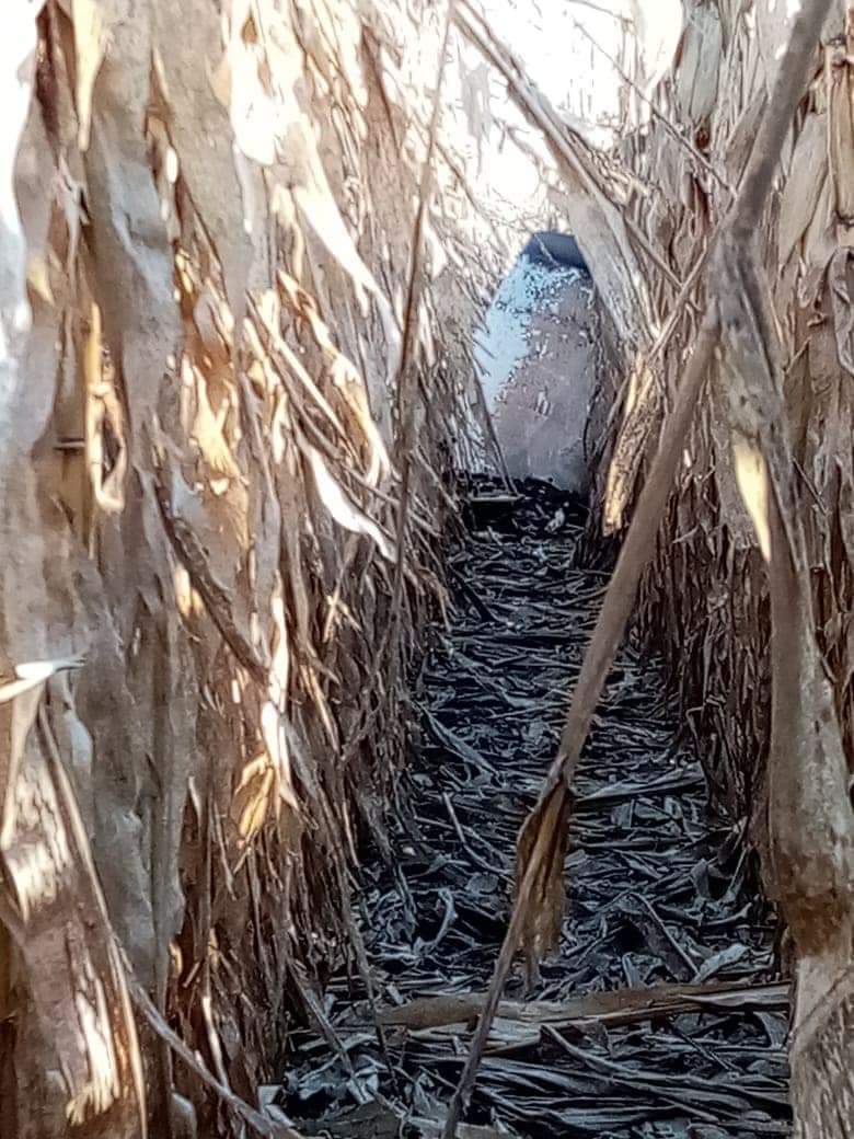 Сбитая над Винничиной ракета Сбитая над Винничиной ракета dqxikeidqxidqeant