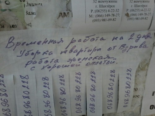 0geajbX-njU dqxikeidqxidqeant