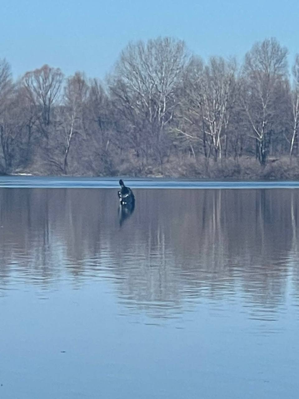 Украинская ПВО сбила вражескую ракету над Киевом dqxikeidqxidqeant