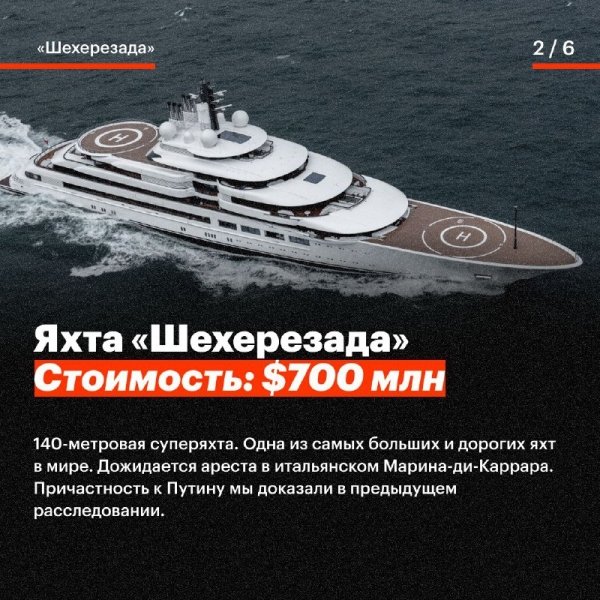   Graceful   Olympia Nega Shellest   