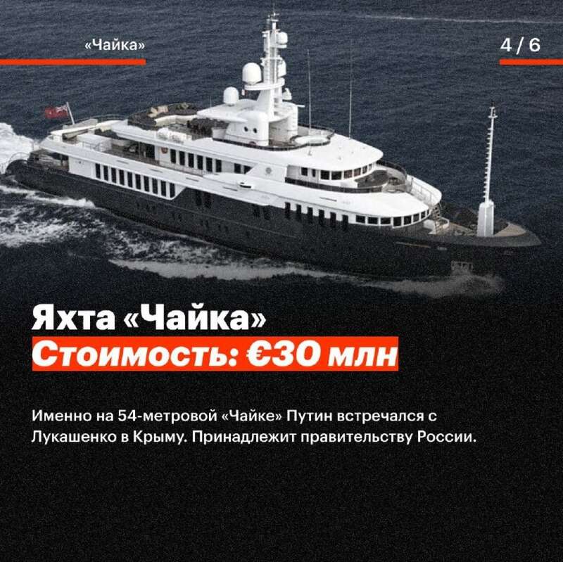   Graceful   Olympia Nega Shellest   