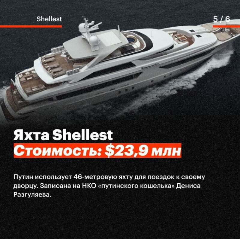   Graceful   Olympia Nega Shellest   