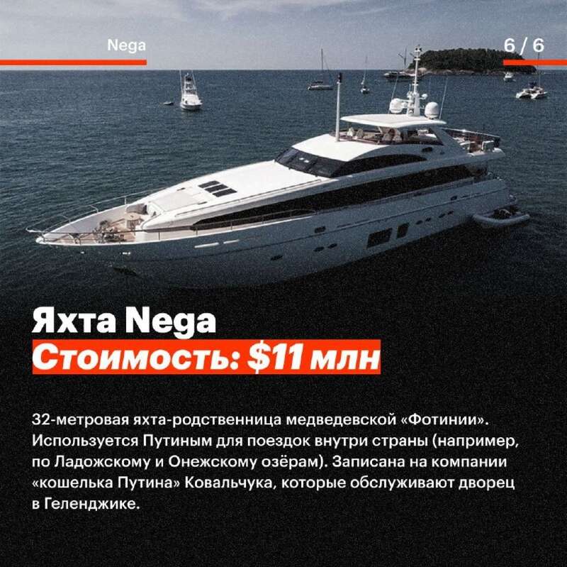   Graceful   Olympia Nega Shellest   