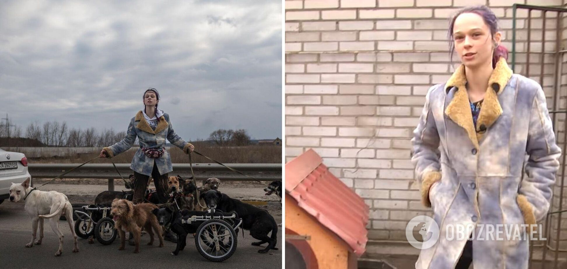 Анастасия Тихая, рискуя жизнью, вывела 15 животных-инвалидов в безопасное место