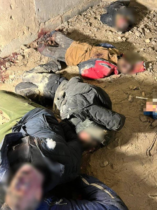 false dqxikeidqxidqrant