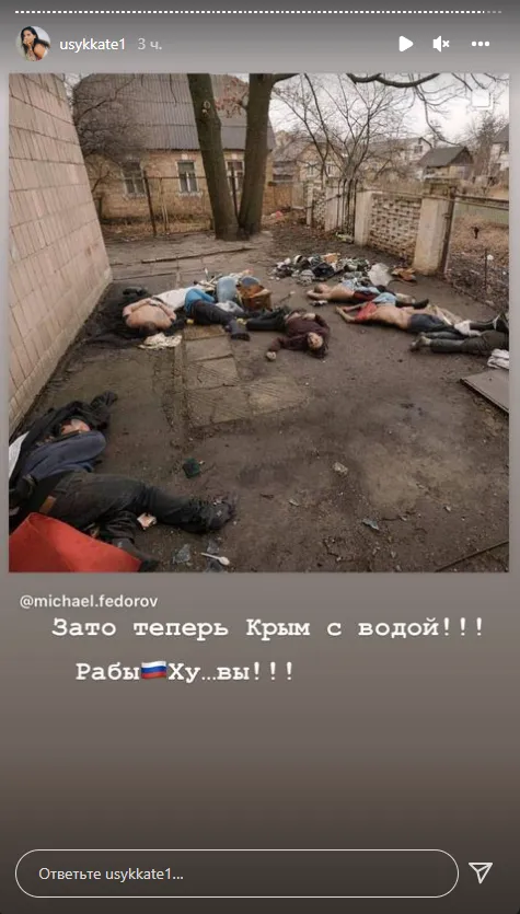 Екатерина Усик показала жуткие кадры из Бучи. dqxikeidqxidqrant