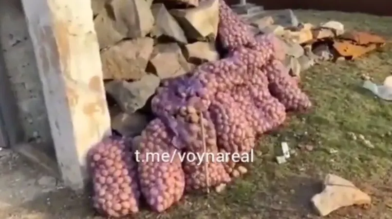 Оккупанты заменяли даже картофель