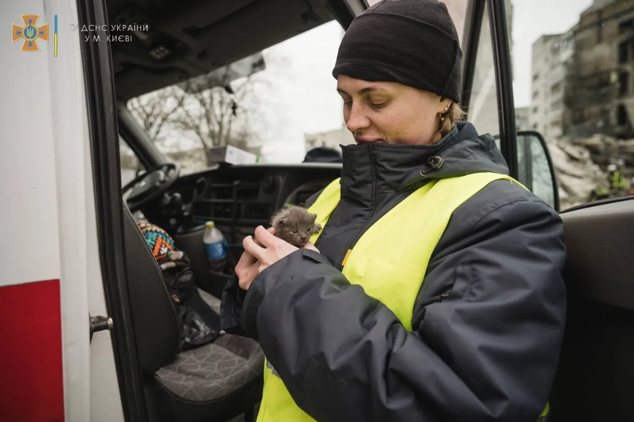 Спасатели забрали котенка в Киев. dqxikeidqxidqrant