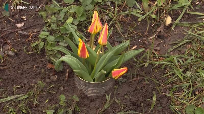 Цветы на месте гибели 12-летнего ребенка dqxikeidqxidqrant