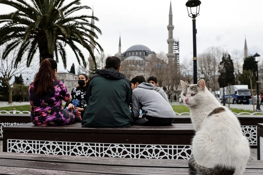 Турция принимает россиян и лояльна к ним dqxikeidqxidqeant