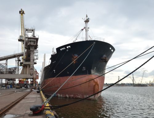 DSC_1024 dqxikeidqxidqrant