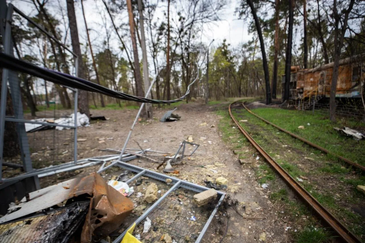 Пуща-Водица. dqxikeidqxidqrant