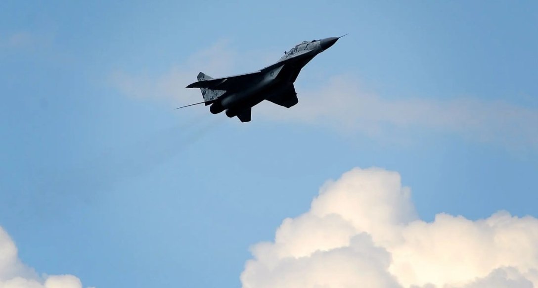  29,   29 dqxikeidqxiuuant