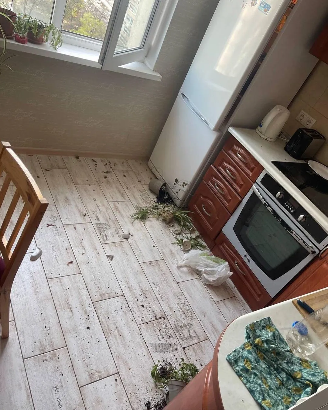 На кухне взрывной волной сбросило вазоны с подоконника