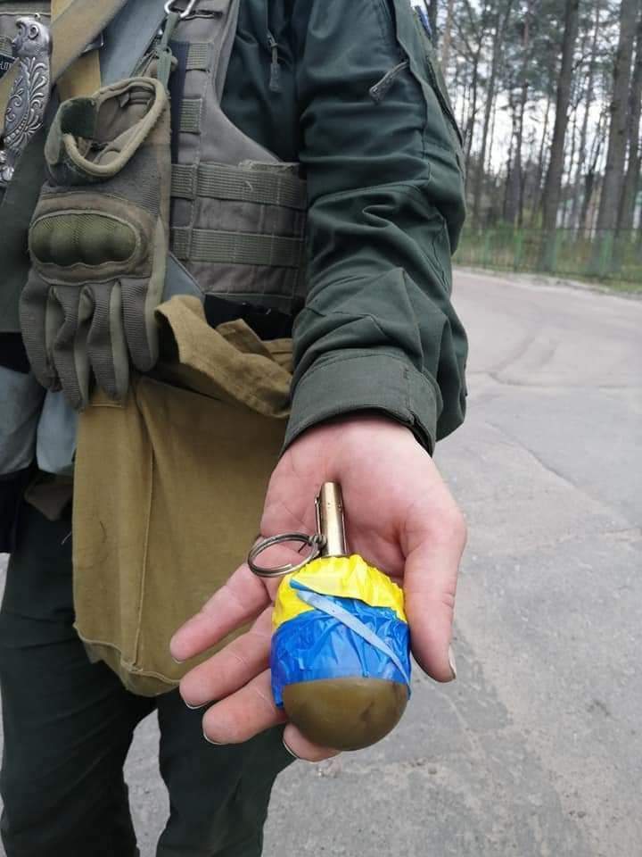 бабочка бабочка dqxikeidqxidqrant