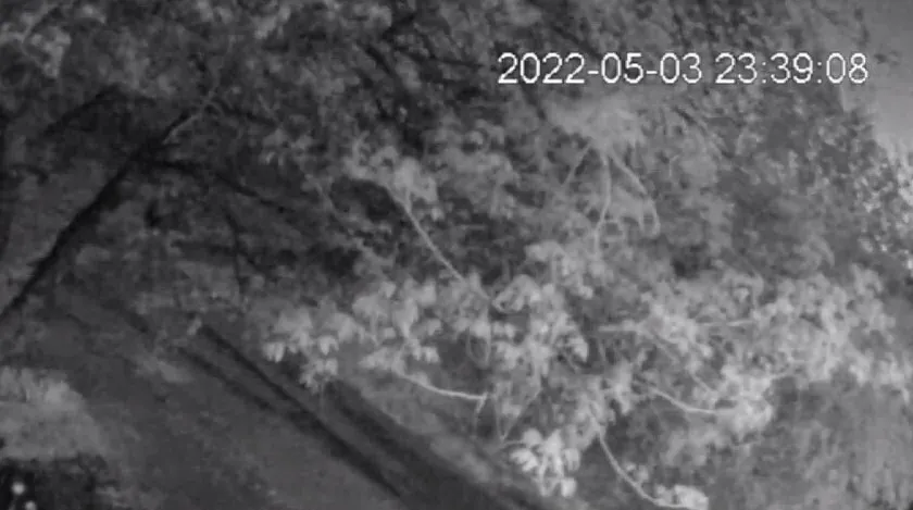 Яркая вспышка от взрыва в Запорожье попала на видео dqxikeidqxidqrant