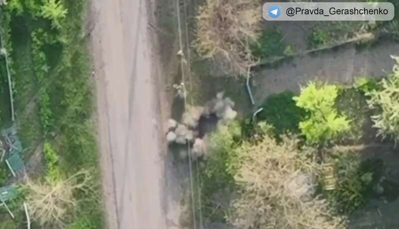    ,     dqxikeidqxiqzhant