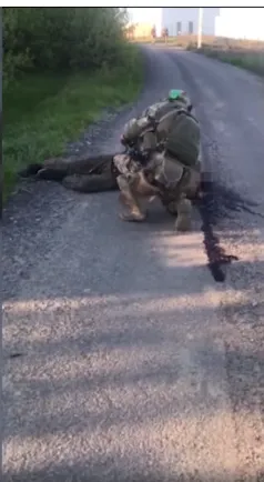 Один из пленных оккупантов dqxikeidqxidqrant