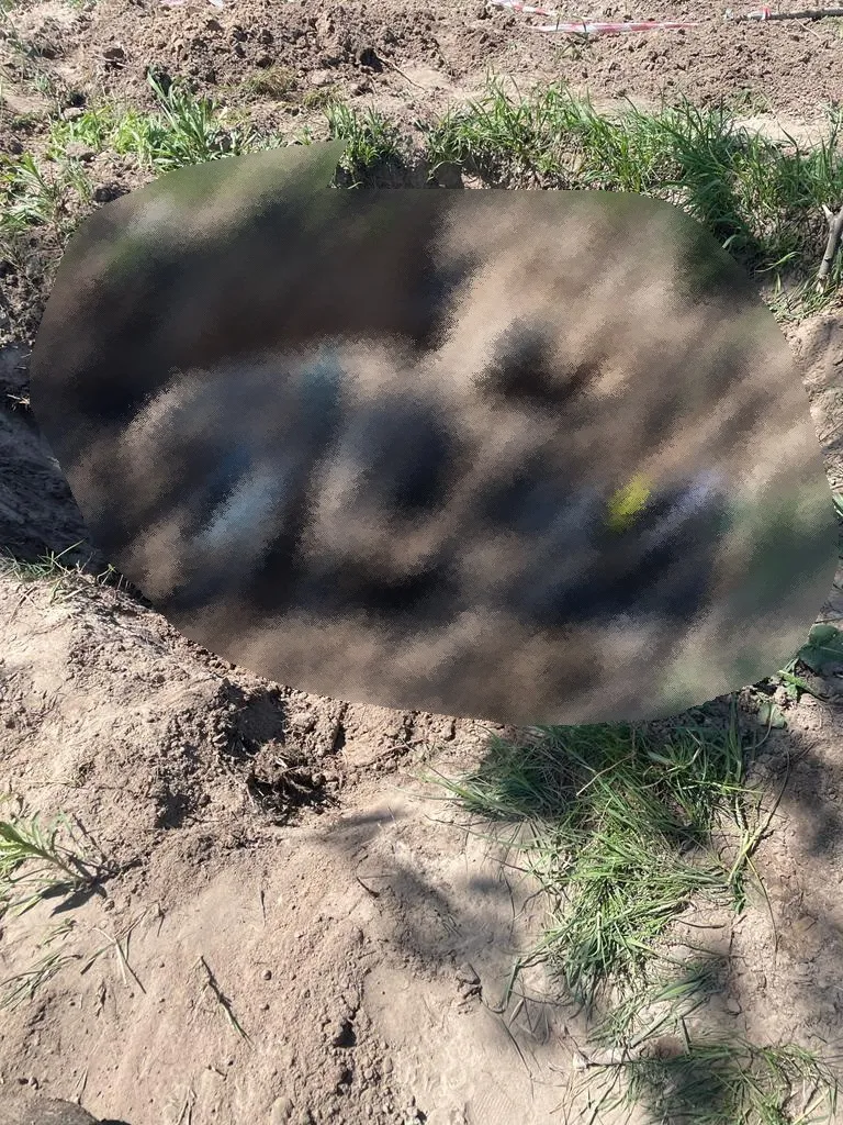 Правоохоронці фіксують усі факти воєнних злочинів агресора. dqxikeidqxidqrant