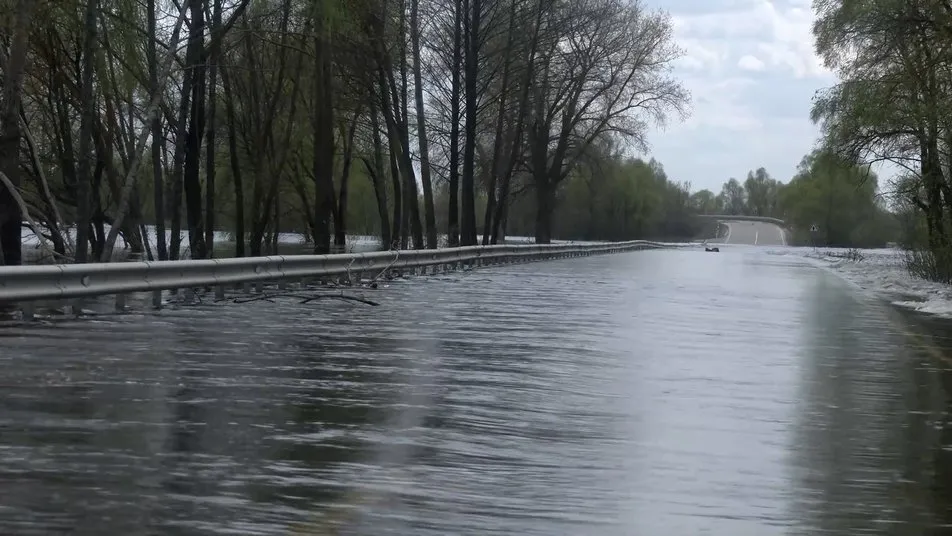 Дорога Новгород-Северский – Шостка