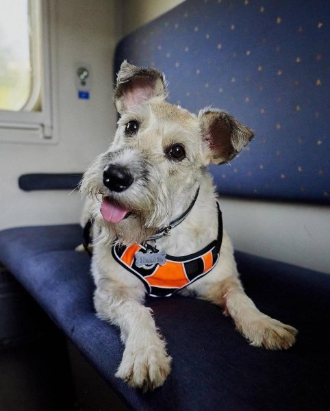  ,  ,  ,   dqxikeidqxiuuant