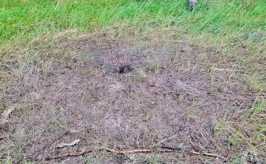 Перед бегством оккупанты заминировали территорию региона. dqxikeidqxidqeant