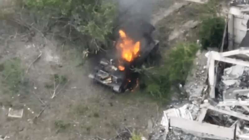 репортаж о тюльпане dqxikeidqxidqrant