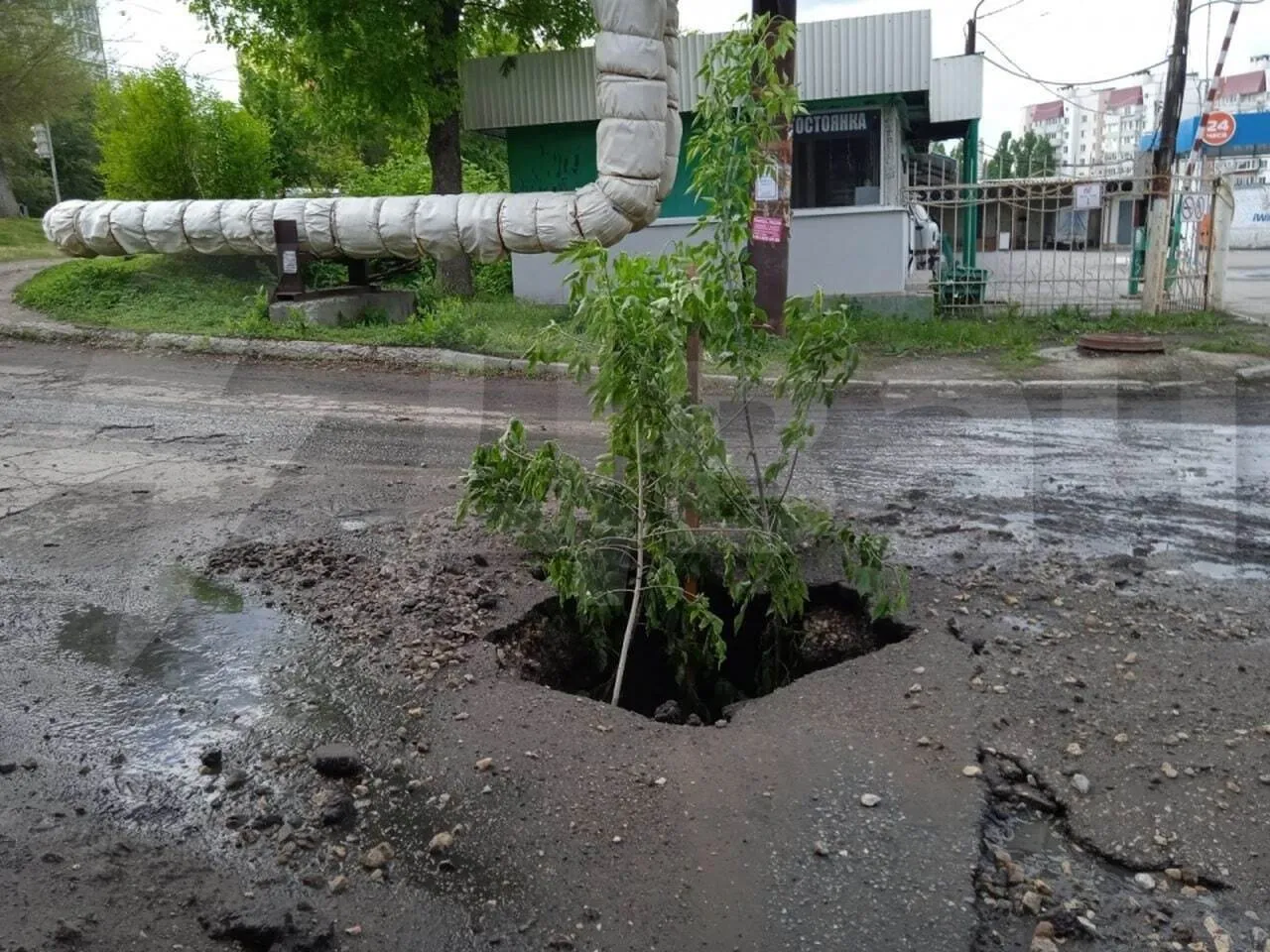  "" . dqxikeidqxidqrant