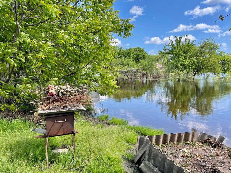 Приблизительно 50 домов остаются подтопленными в Демидове Киевской области, - председатель ОВА Кулеба 03