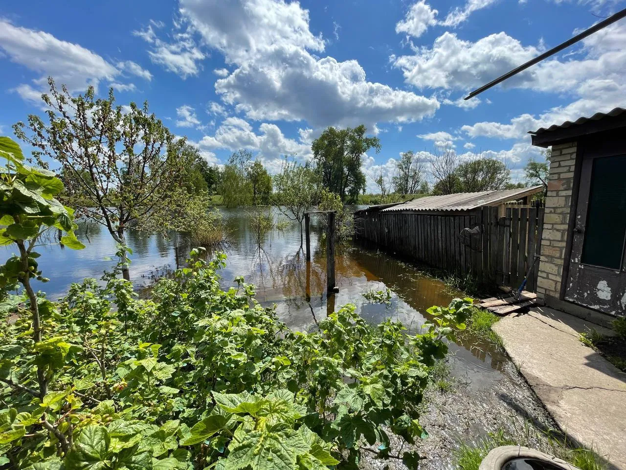 Вода остановила армию российских оккупантов на пути к Киеву. dqxikeidqxidqrant