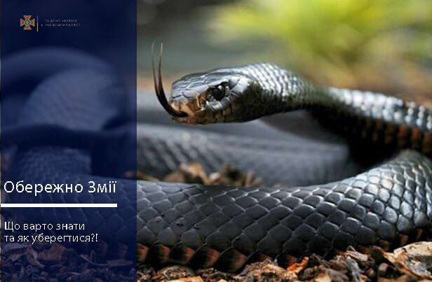 Спасатели предупредили украинцев об опасности.