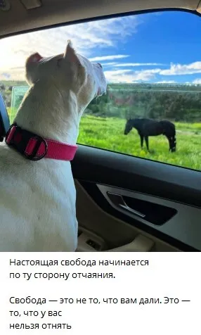   ,   –   ,  ,  ,   .