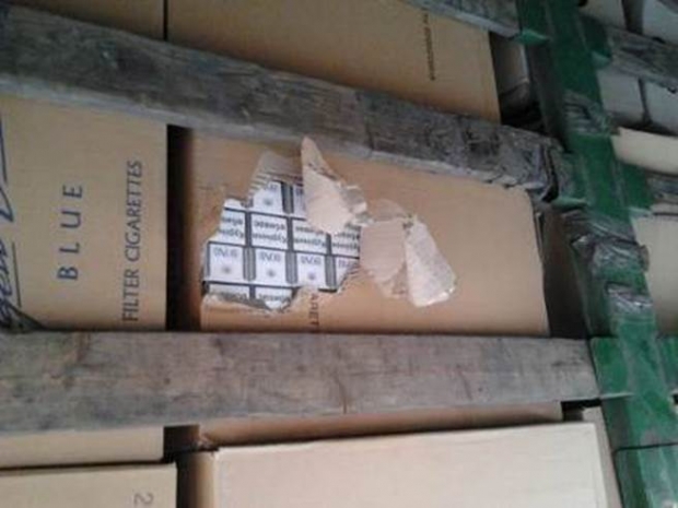 -  dqxikeidqxidqeant