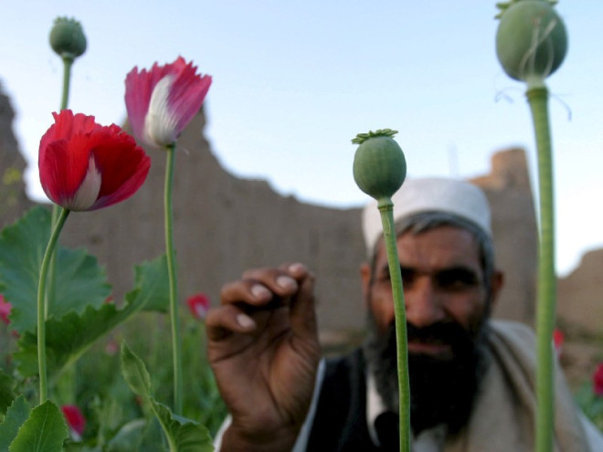 0000 dqxikeidqxidqrant