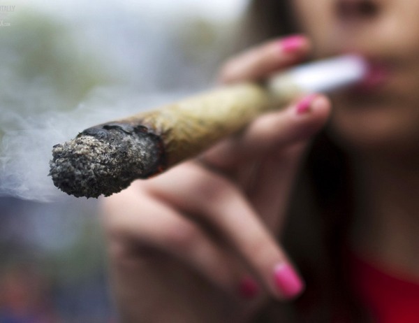 Каннабиоиды dqxikeidqxidqeant