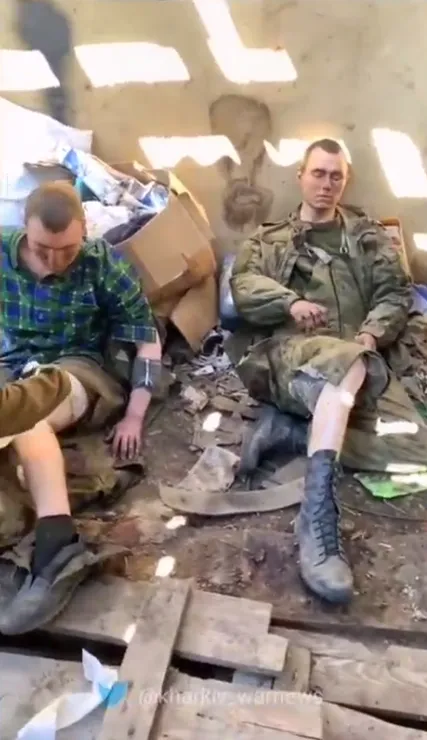 Пленные оккупанты dqxikeidqxidqeant