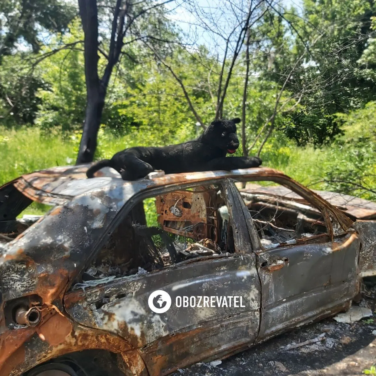 ’’Держали тушу свиньи на балконе’’: как выглядит район Гостомеля, где ’’гостили’’ кадыровцы