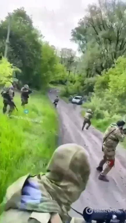 Кадыровцы "демилитаризировали" кусты dqxikeidqxidqeant