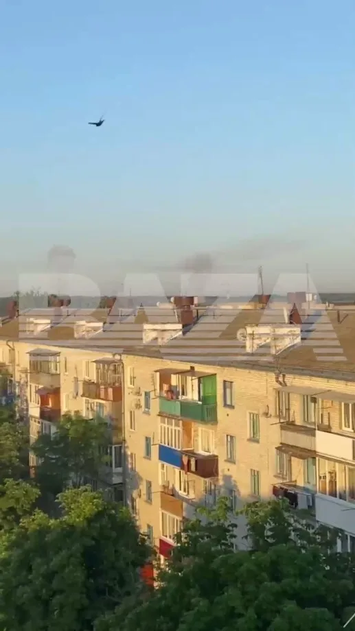 Дым над Брянской областью dqxikeidqxidqrant